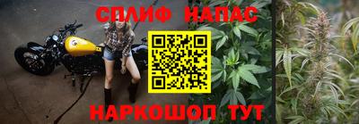 крисы Долгопрудный