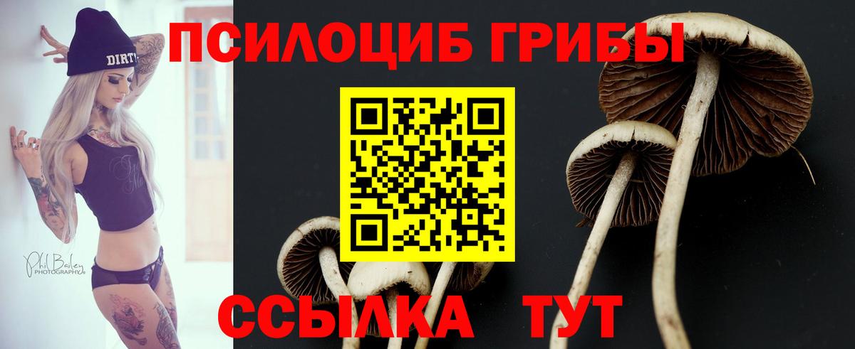Кизляр  купить   Вход с VPN  Галлюциногенные грибы мицелий  Галлюциногенные грибы ЛСД 